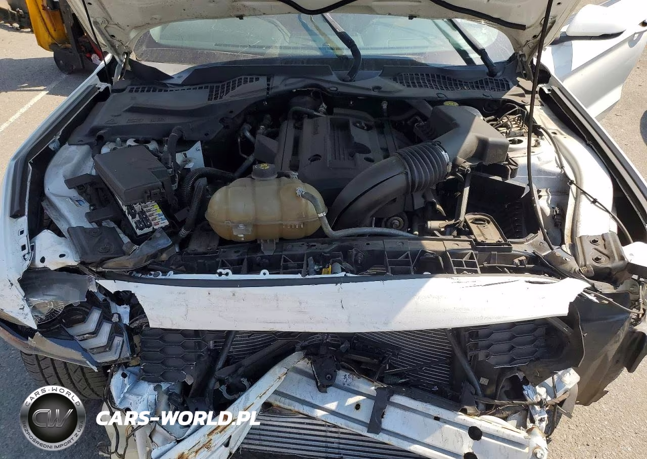 2020 Ford Mustang VIN:1FATP8UH7L5119961 - 11