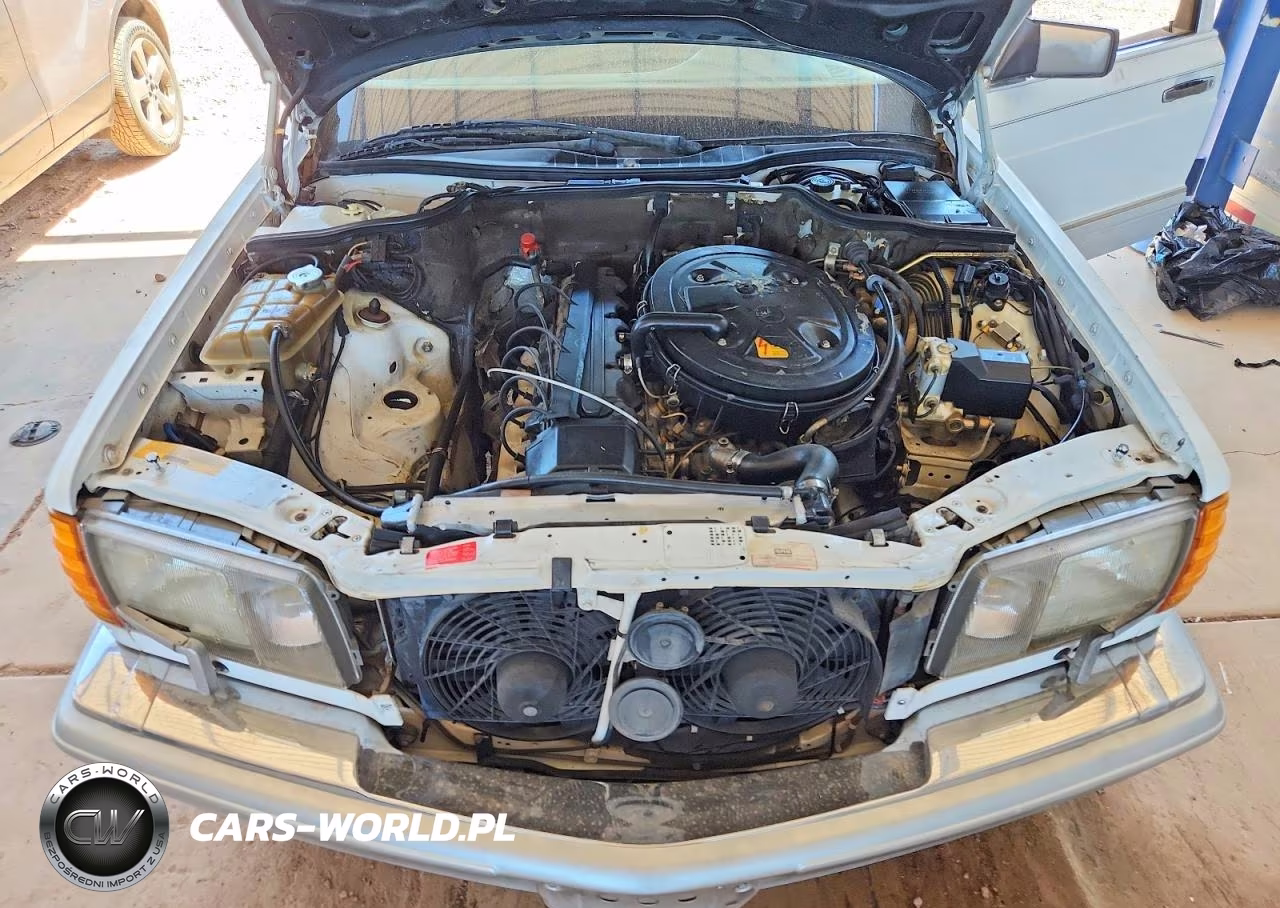 1991 Mercedes-Benz 300 Se VIN:WDBCA24D1MA606960 - 11