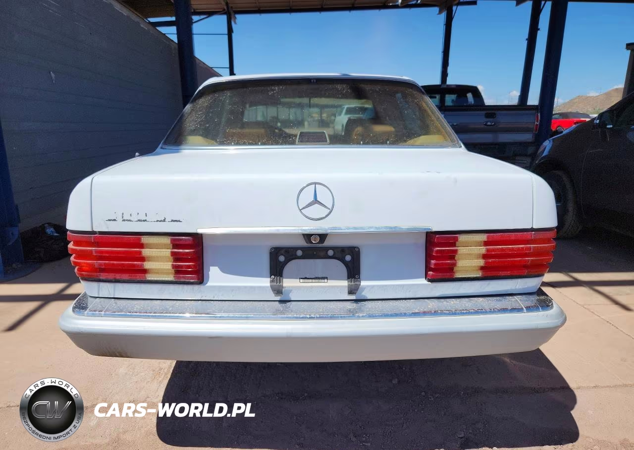 1991 Mercedes-Benz 300 Se VIN:WDBCA24D1MA606960 - 6