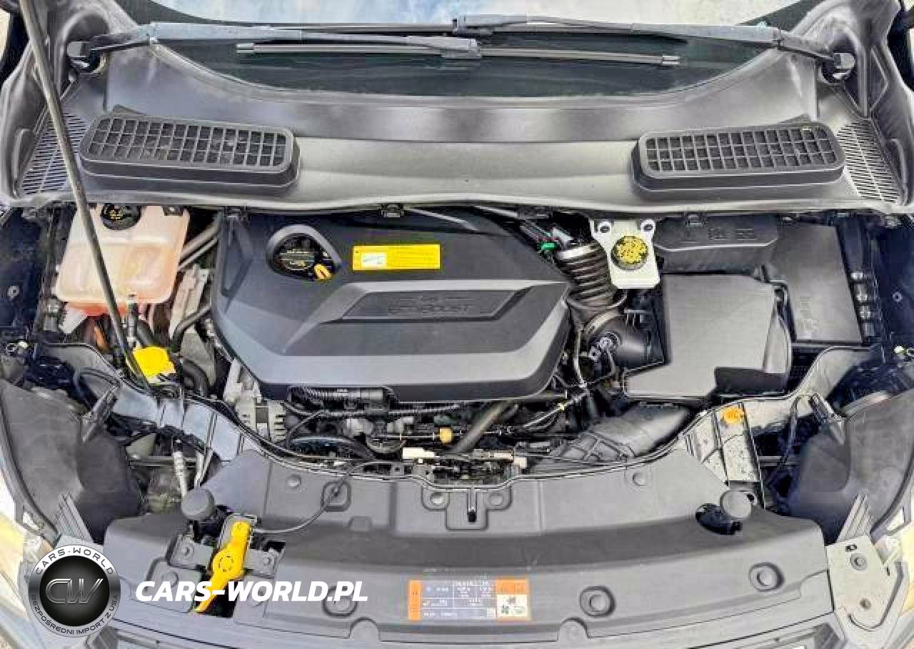 2016 Ford Escape Se VIN:1FMCU0GX4GUC35892 - 14