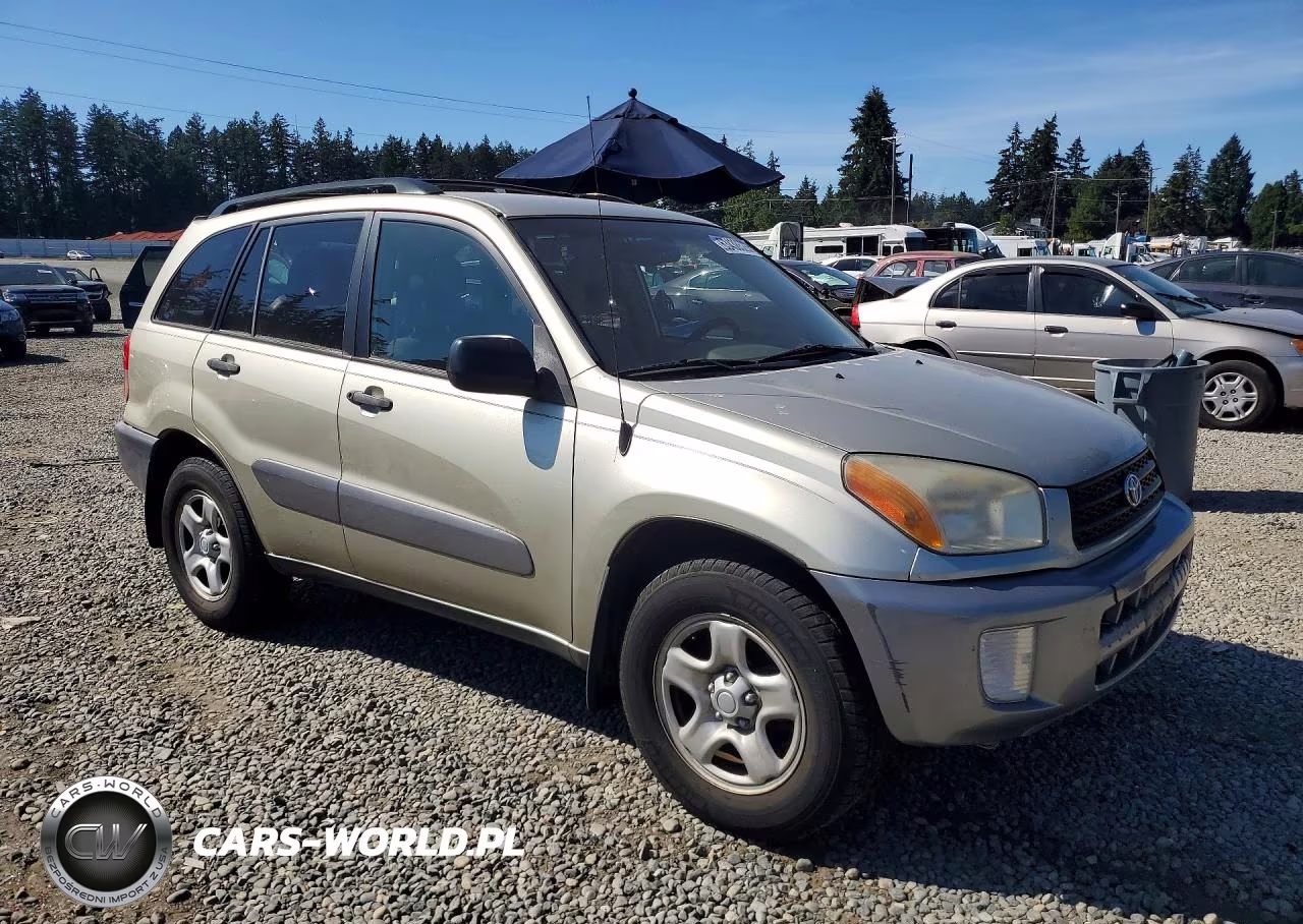 2002 Toyota Rav4 Base VIN:JTEGH20V220062304 - 4
