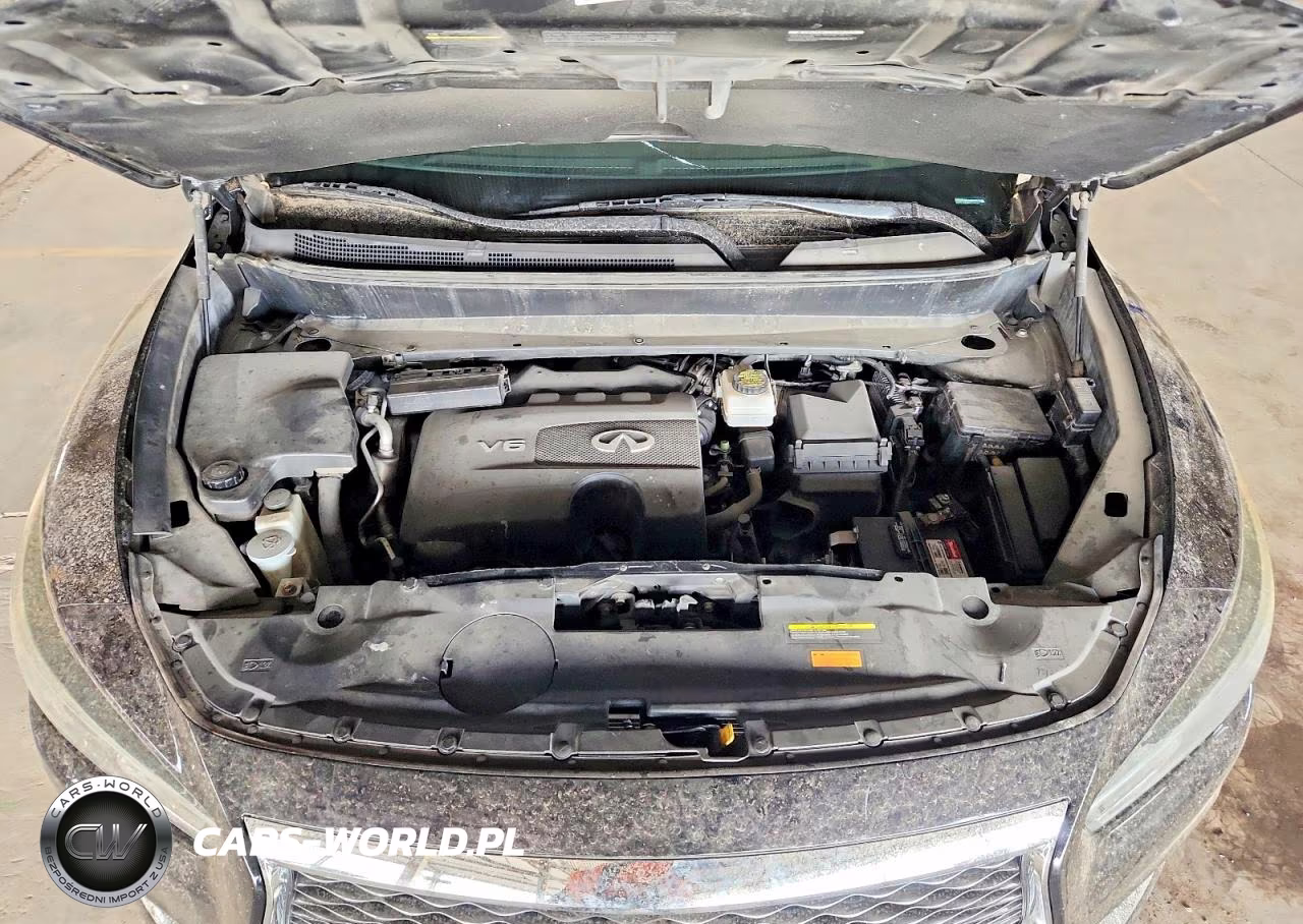 2019 Infiniti Qx60 Luxe VIN:5N1DL0MN0KC519576 - 12