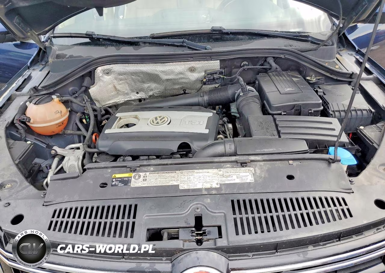 2013 Volkswagen Tiguan S VIN:WVGBV3AXXDW561117 - 12