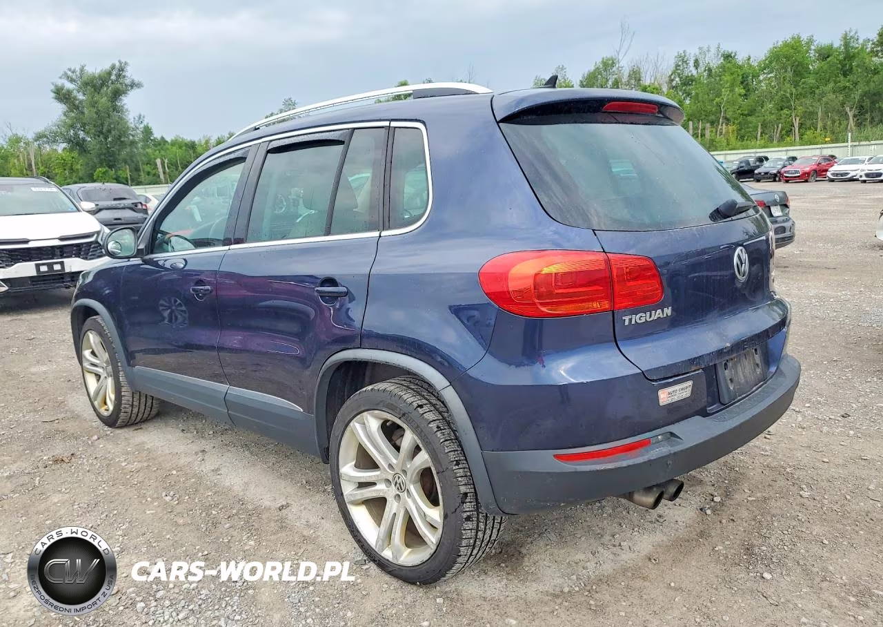 2013 Volkswagen Tiguan S VIN:WVGBV3AXXDW561117 - 2