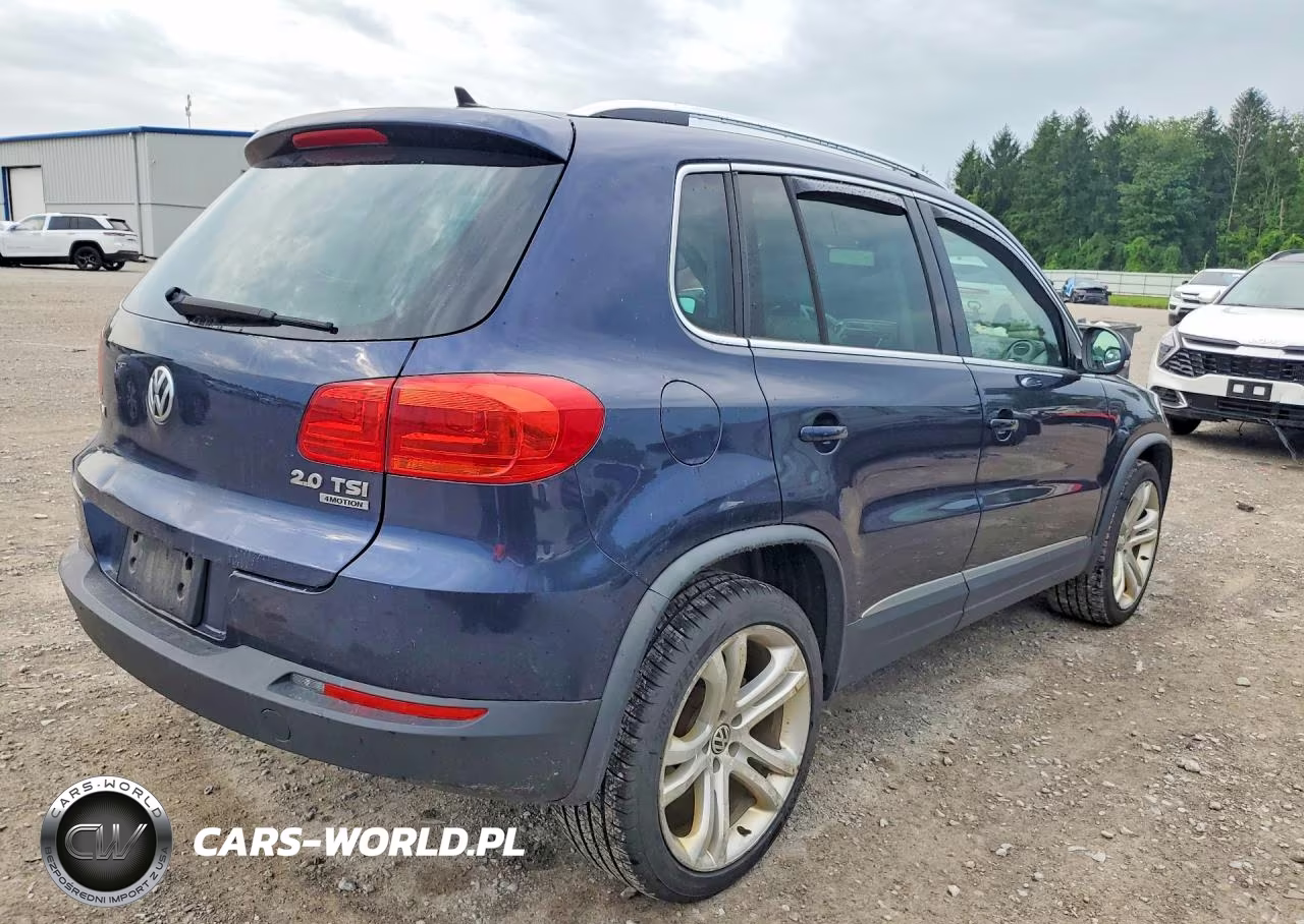 2013 Volkswagen Tiguan S VIN:WVGBV3AXXDW561117 - 3