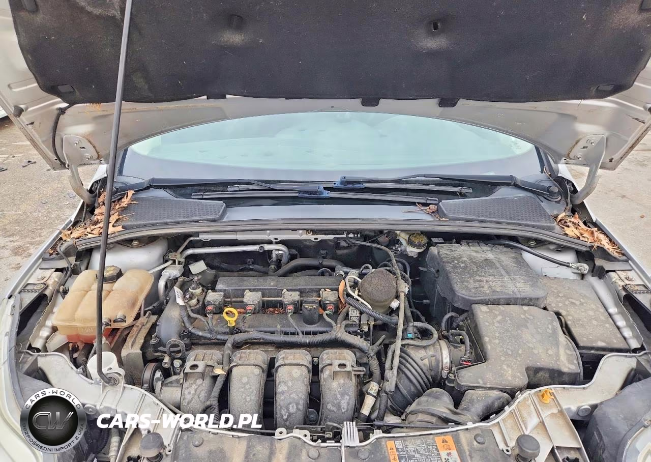 2014 Ford Focus Se VIN:1FADP3F27EL440803 - 11