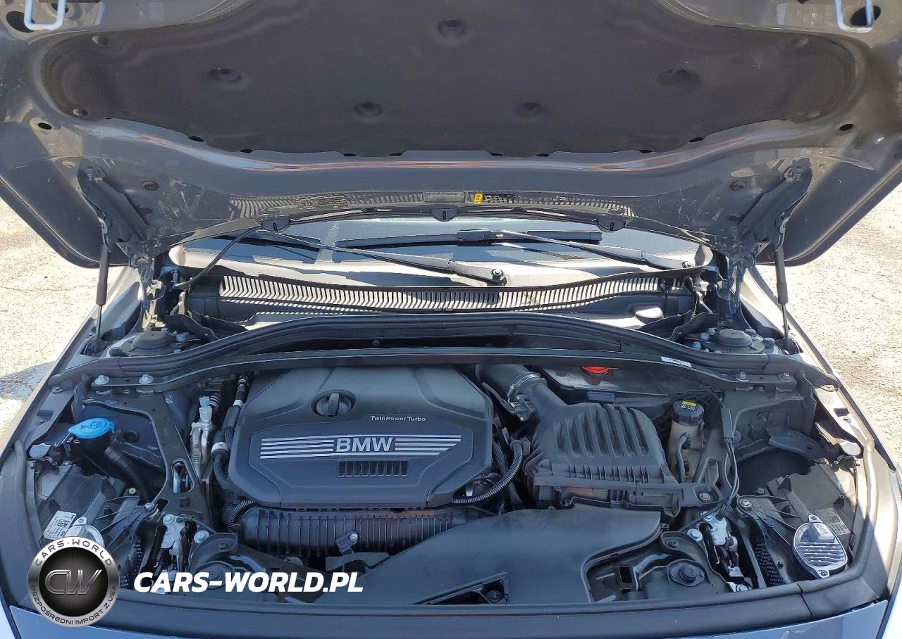 2021 BMW 228I VIN:WBA53AK07M7H39833 - 11