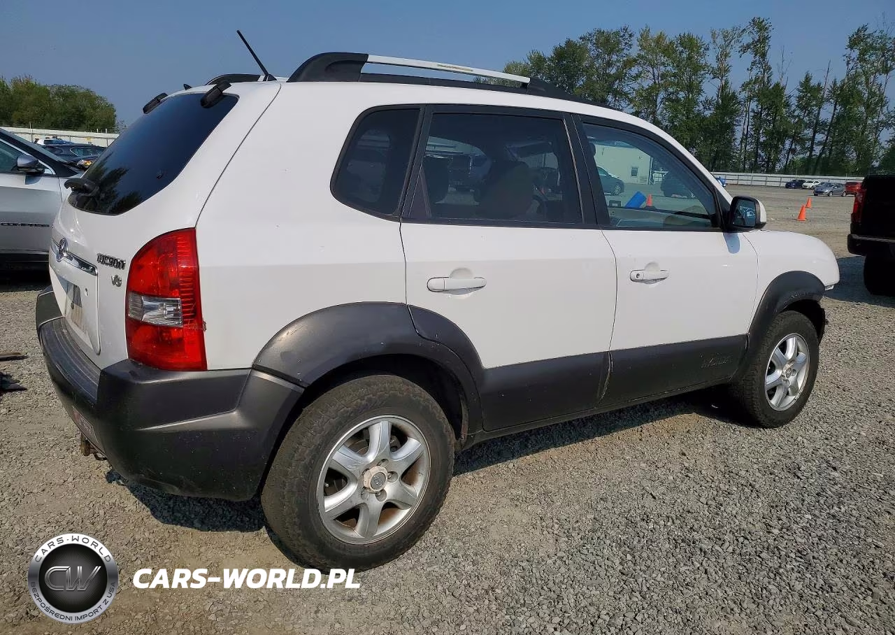 2005 Hyundai Tucson Gls VIN:KM8JN72D25U083375 - 3