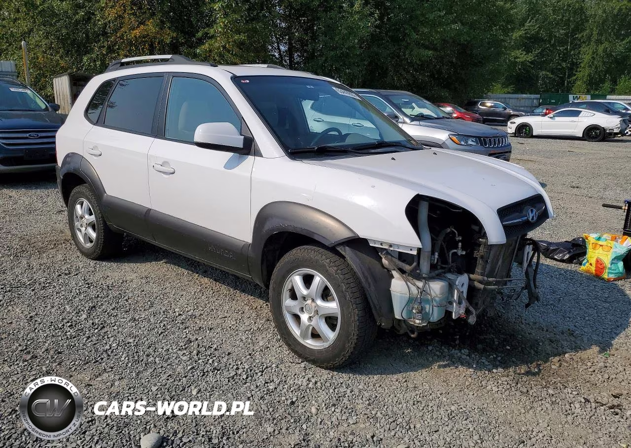 2005 Hyundai Tucson Gls VIN:KM8JN72D25U083375 - 4