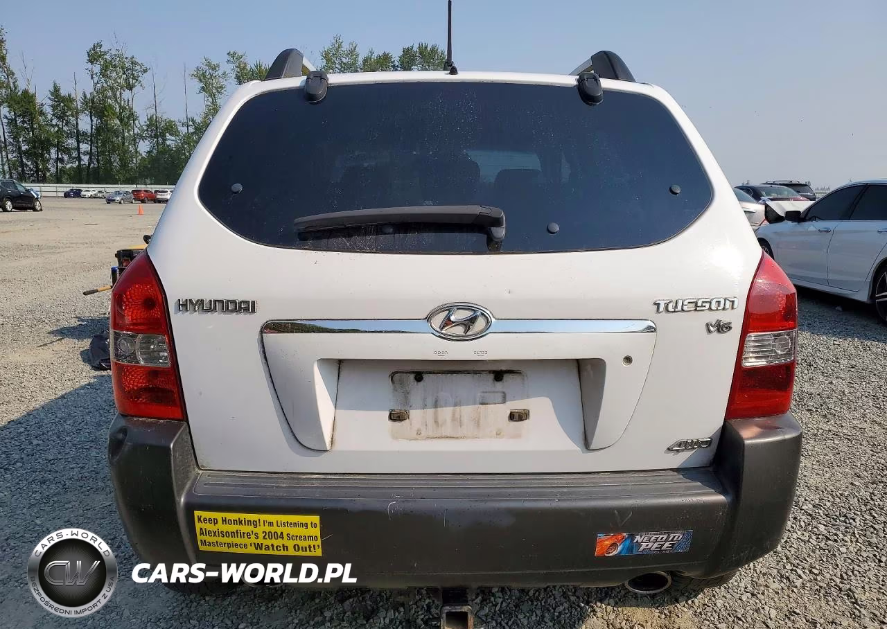 2005 Hyundai Tucson Gls VIN:KM8JN72D25U083375 - 6