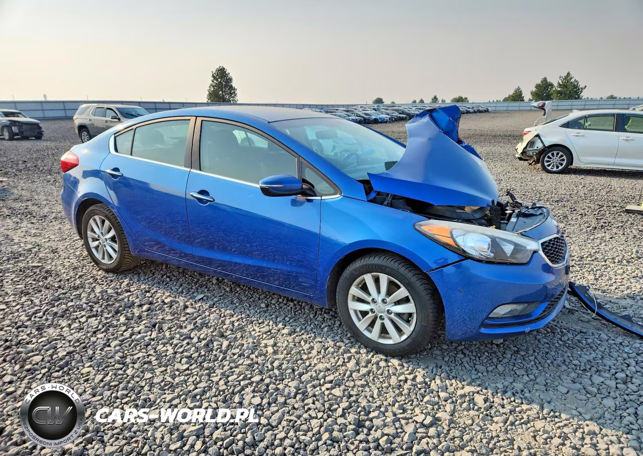 2014 Kia Forte Ex VIN:KNAFX4A86E5049499 - 4
