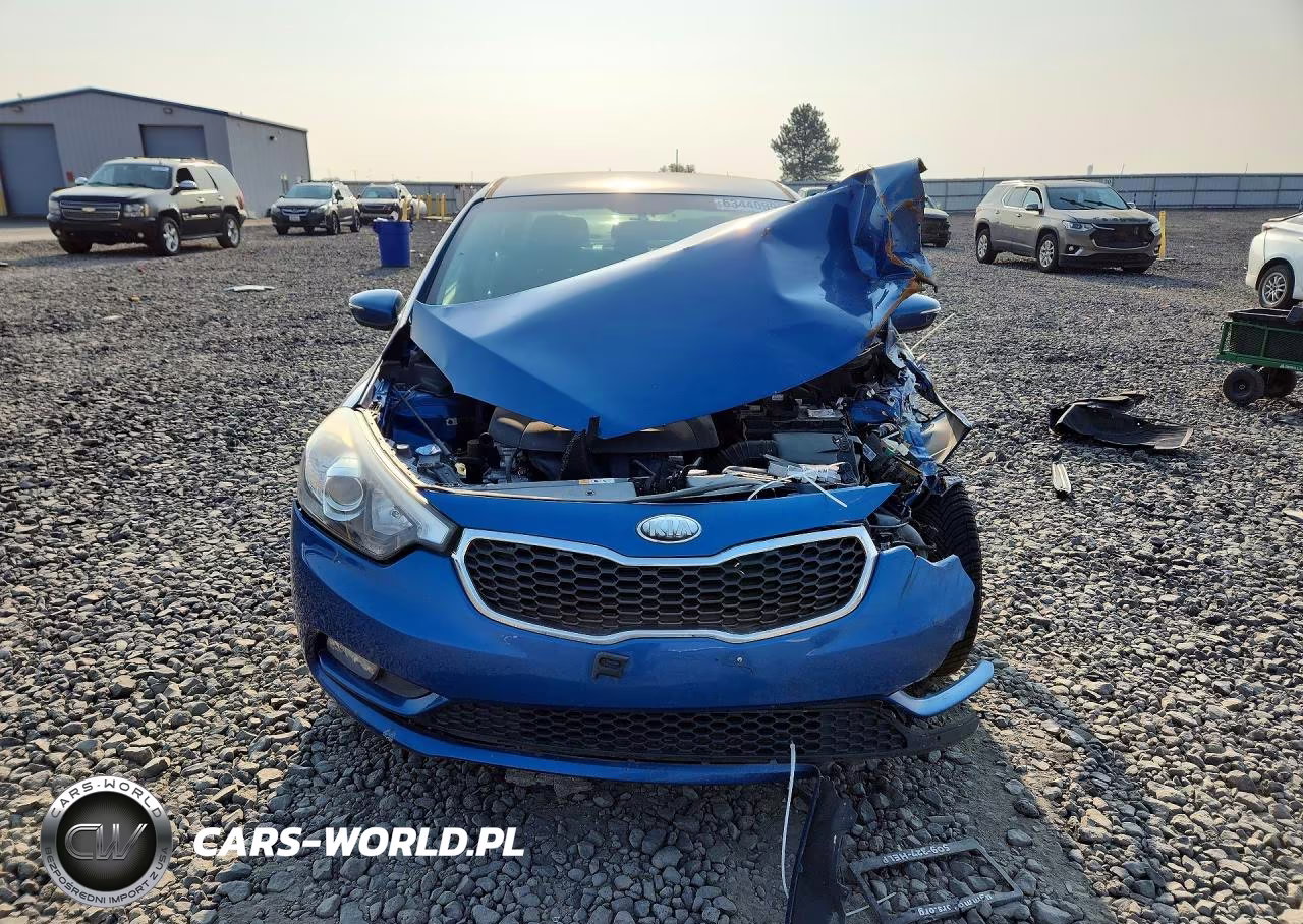 2014 Kia Forte Ex VIN:KNAFX4A86E5049499 - 5