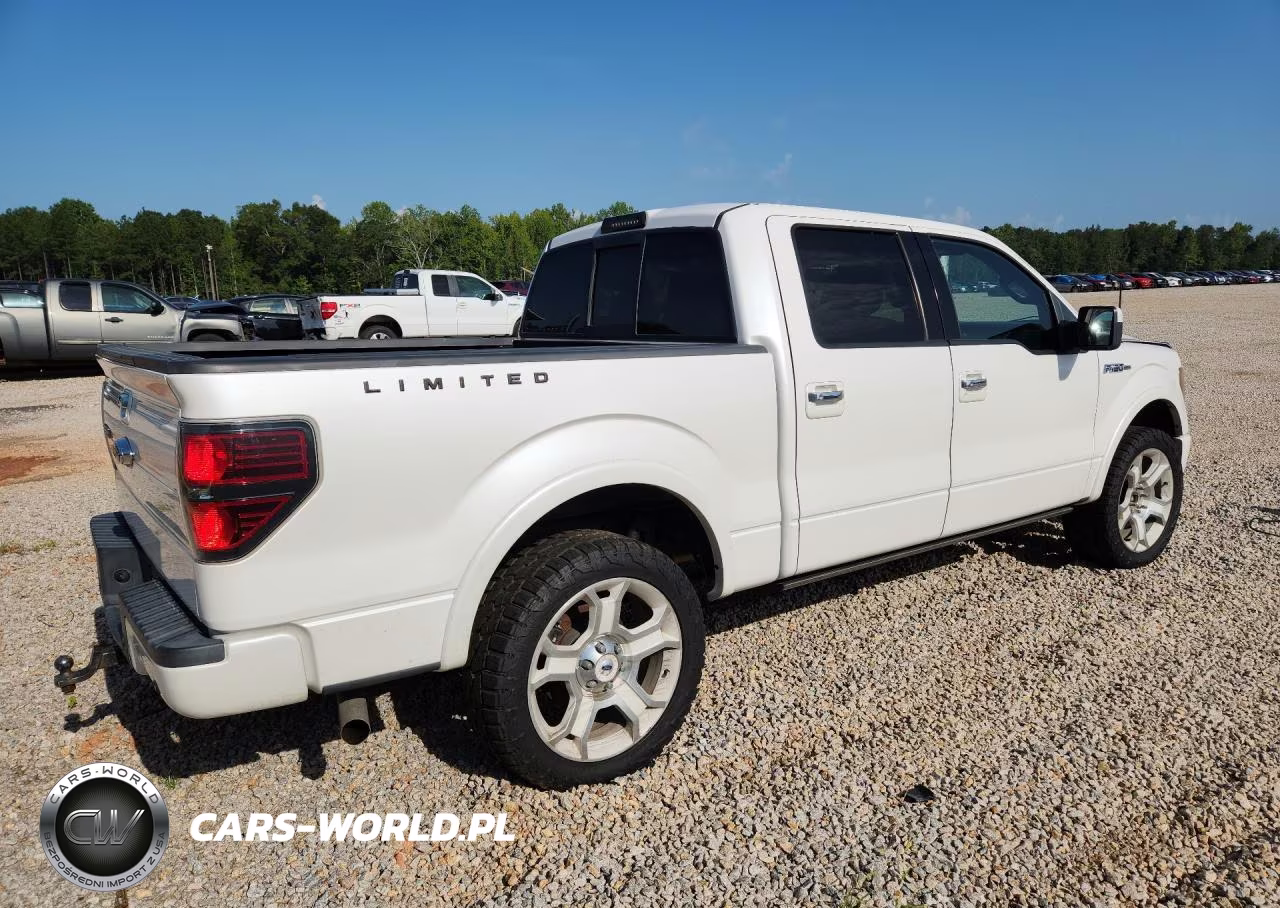 2011 Ford F150 Supercrew VIN:1FTFW1E67BFA47022 - 3
