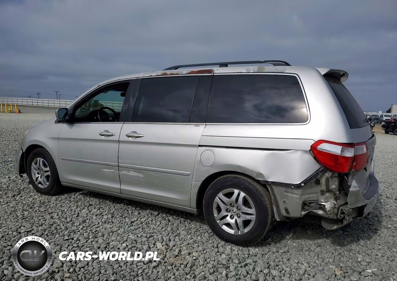 2005 Honda Odyssey Exl VIN:5FNRL38625B110064 - 2
