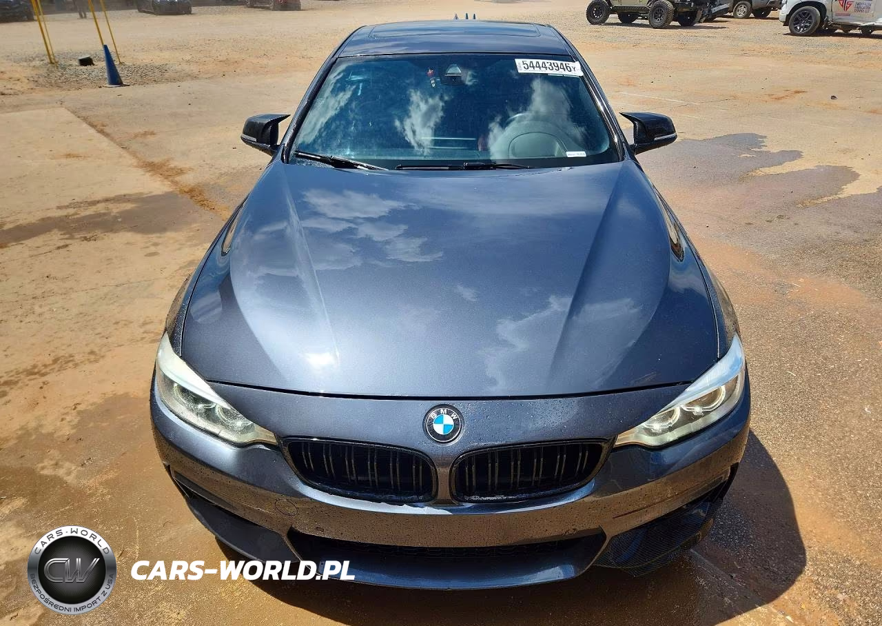 2016 BMW 435 I Gran Coupe VIN:WBA4B1C5XGG242317 - 10