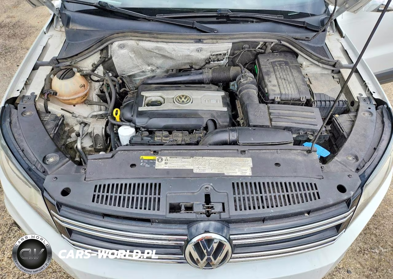 2016 Volkswagen Tiguan S VIN:WVGBV7AX9GW591737 - 12