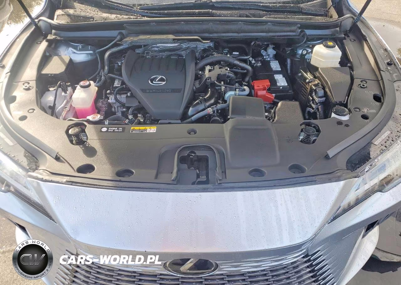 2025 Lexus Rx 350 Premium VIN:2T2BAMBA1SC065009 - 12