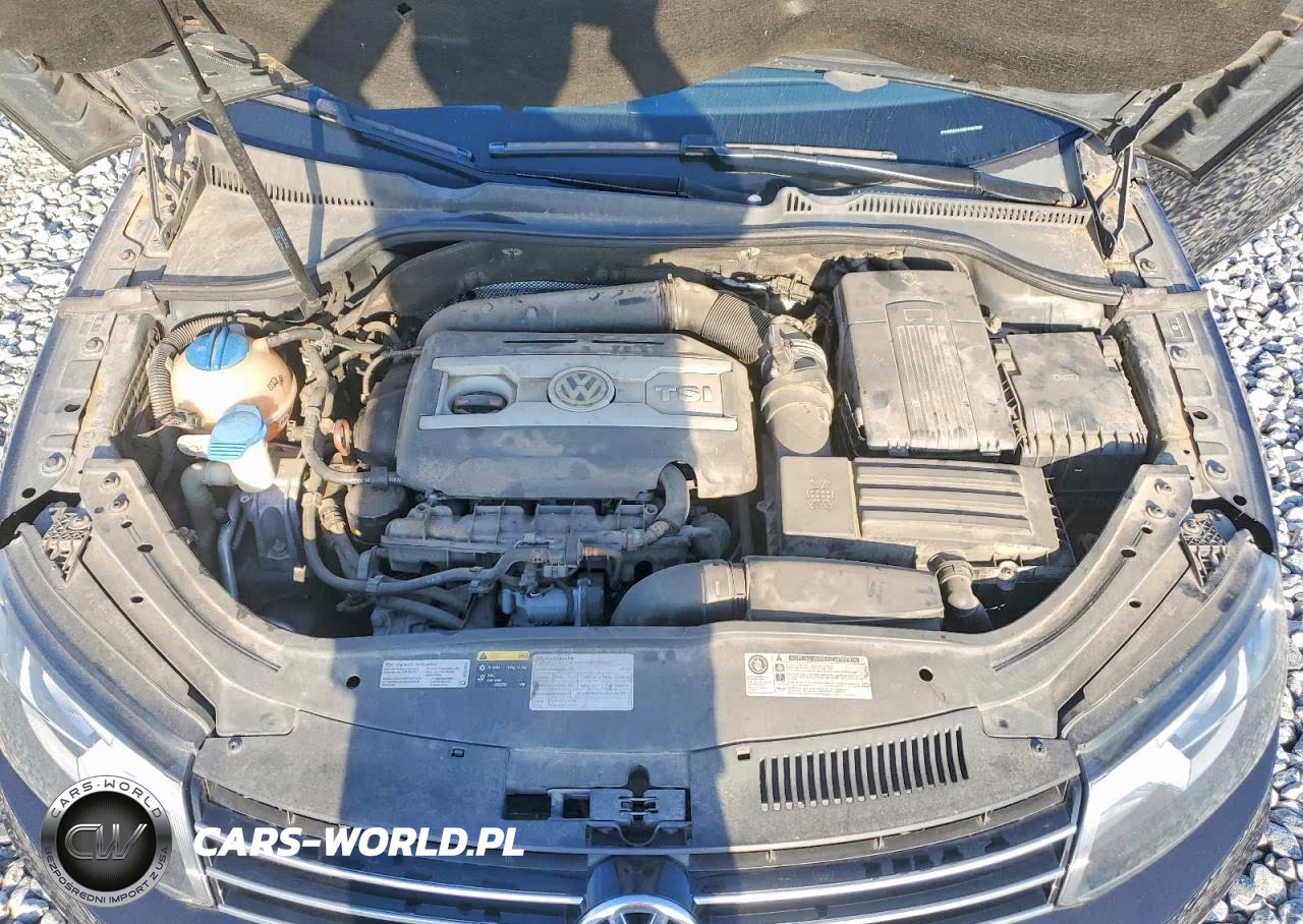 2013 Volkswagen Eos Komfort VIN:WVWBW8AH5DV007299 - 11