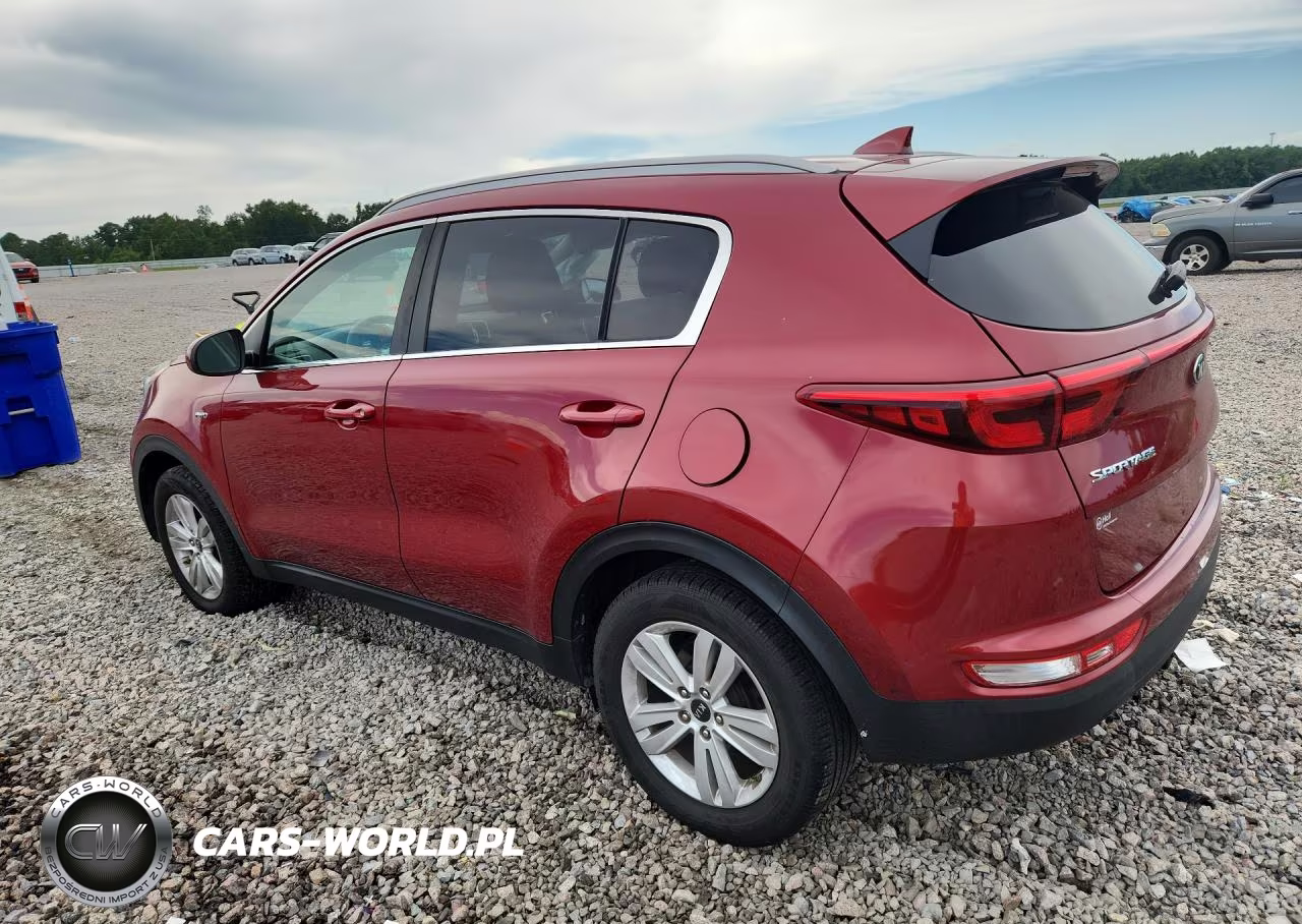 2019 Kia Sportage Lx VIN:KNDPMCAC8K7555950 - 2