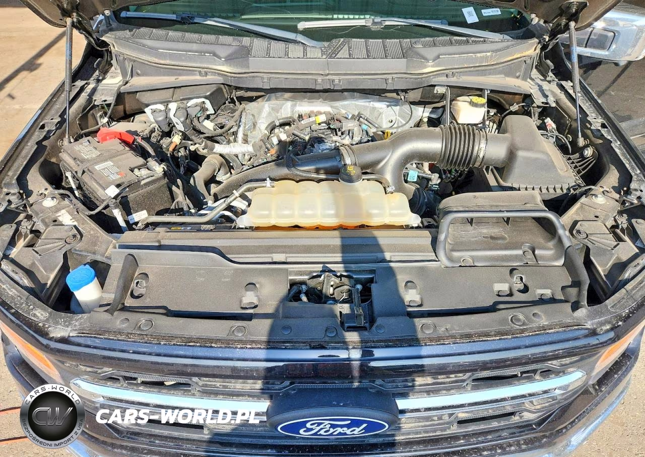 2024 Ford F150 Xlt VIN:1FTEW3KP6RFA12731 - 11
