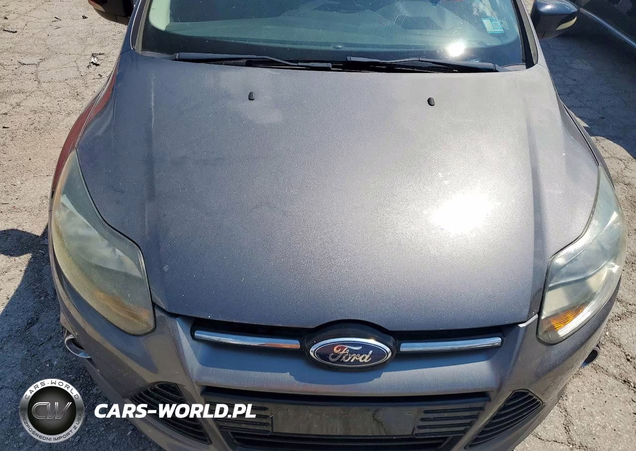2014 Ford Focus Se VIN:1FADP3F20EL129231 - 11