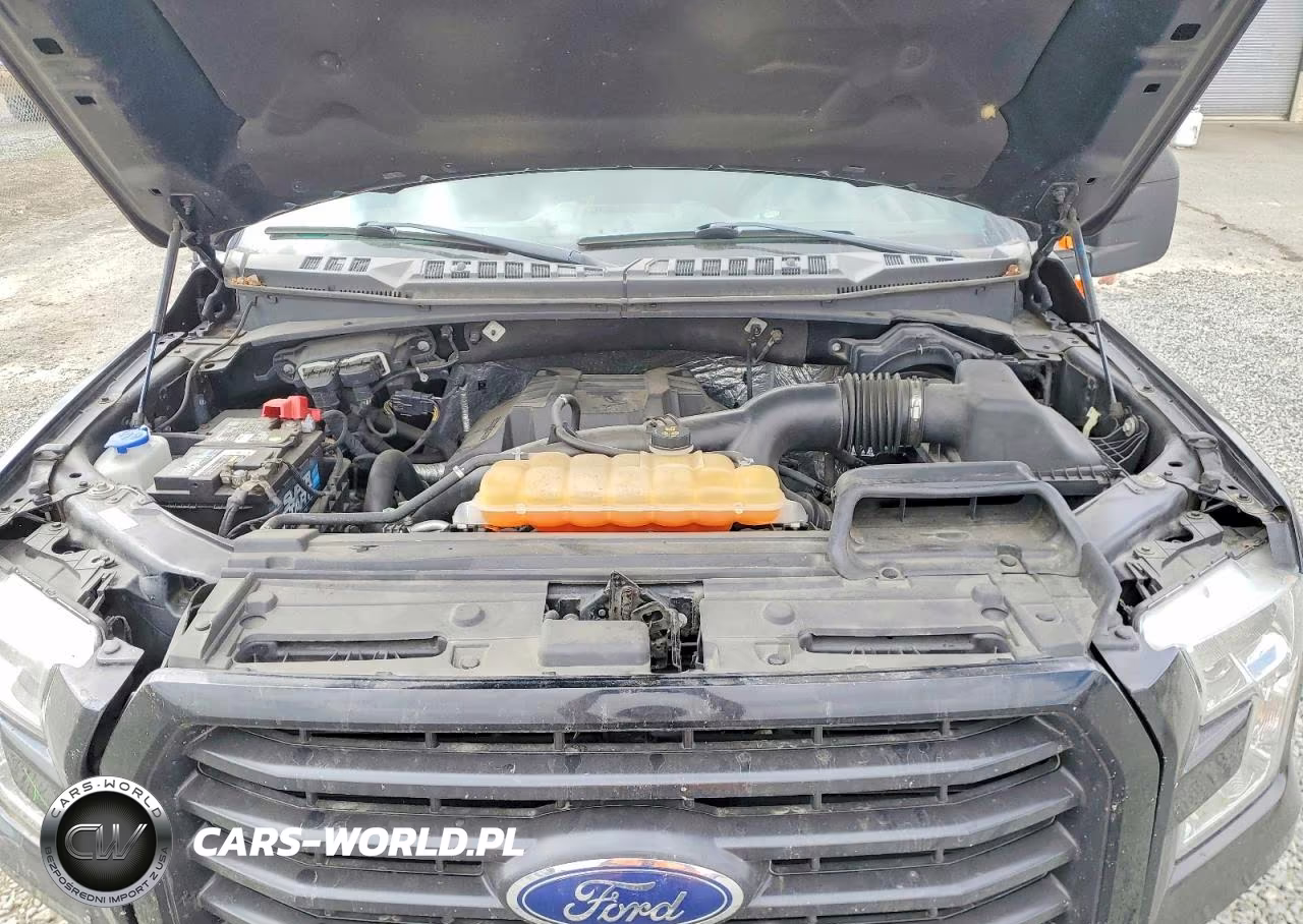 2017 Ford F150 Supercrew VIN:1FTEW1EP8HFA16116 - 11