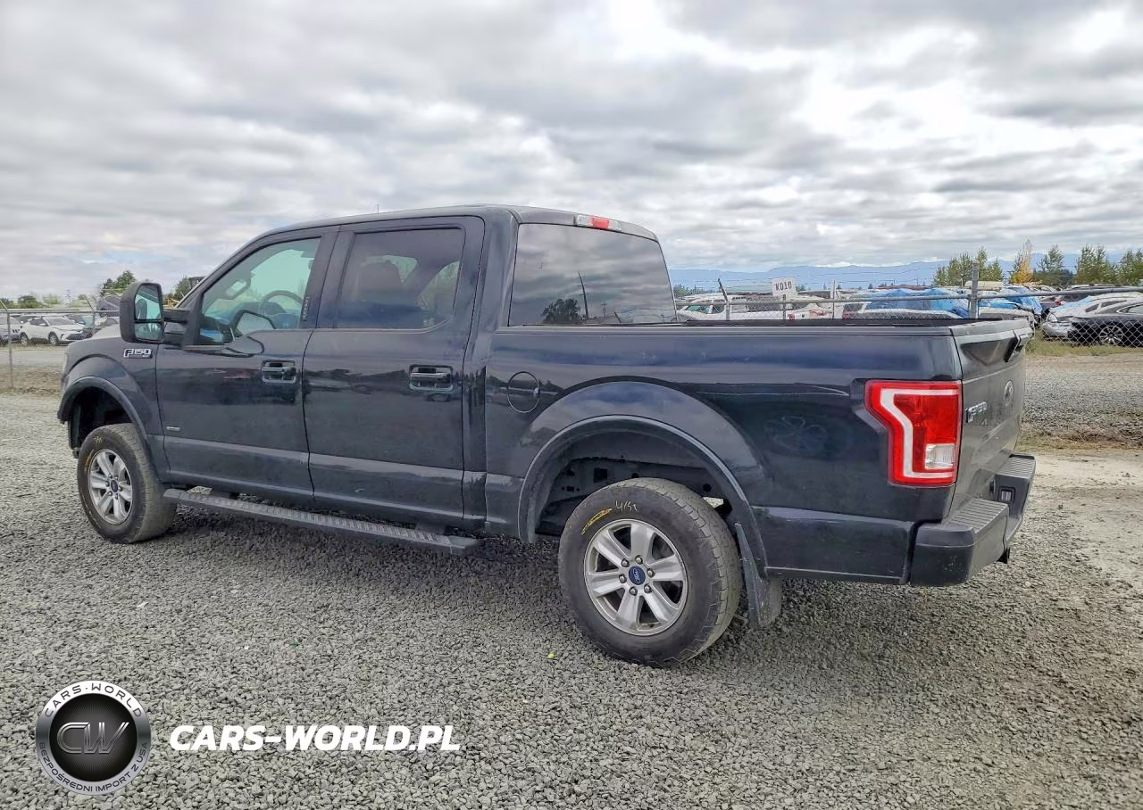 2017 Ford F150 Supercrew VIN:1FTEW1EP8HFA16116 - 2