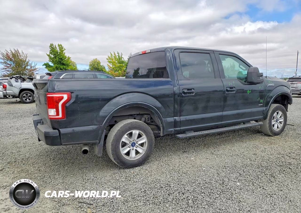 2017 Ford F150 Supercrew VIN:1FTEW1EP8HFA16116 - 3