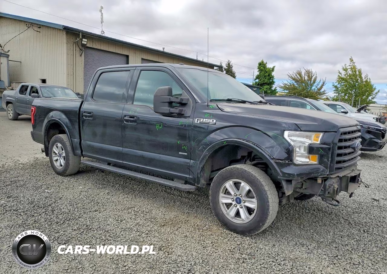 2017 Ford F150 Supercrew VIN:1FTEW1EP8HFA16116 - 4