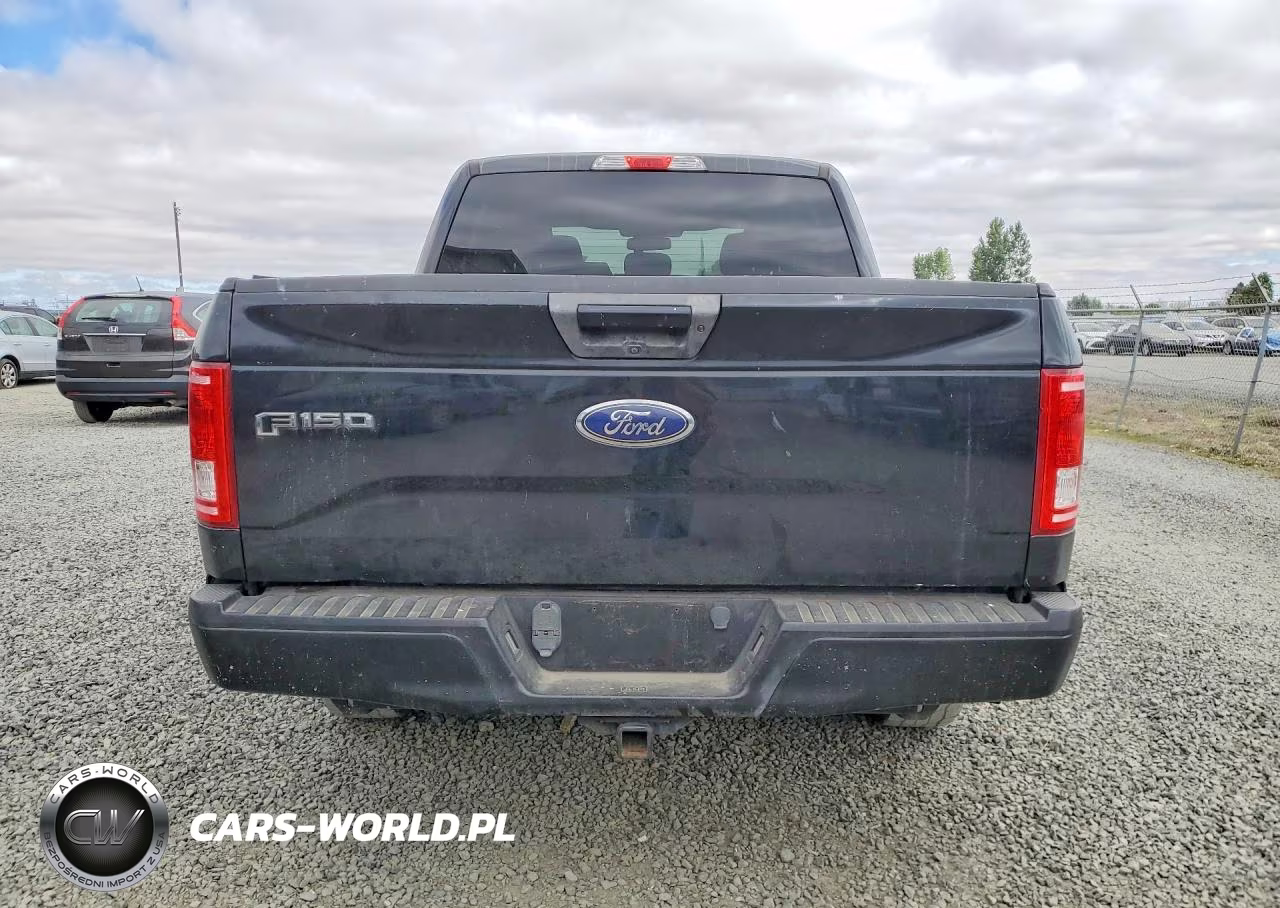2017 Ford F150 Supercrew VIN:1FTEW1EP8HFA16116 - 6