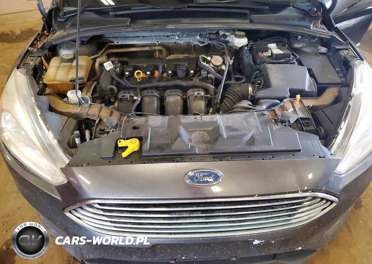 2017 Ford Focus Se VIN:1FADP3F29HL332347 - 11
