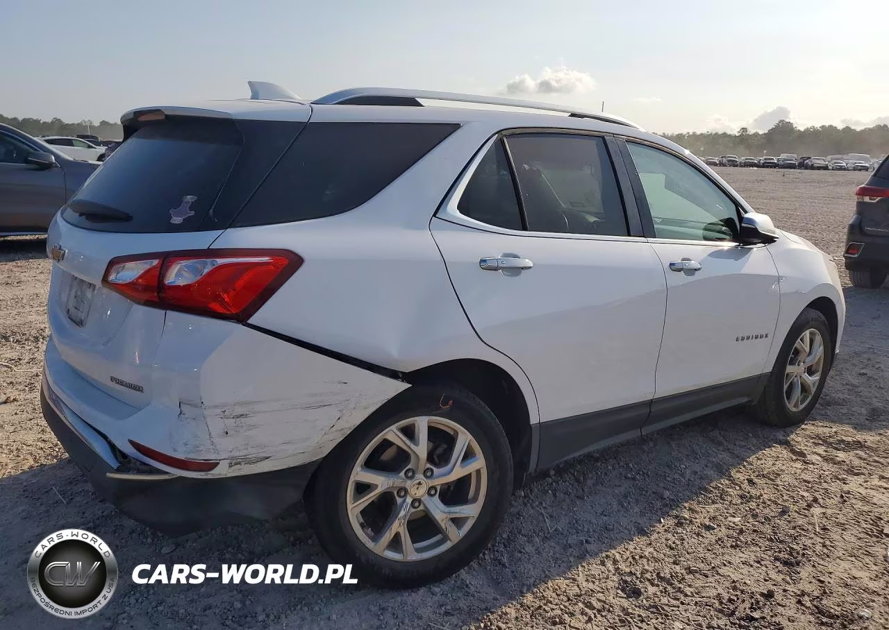 2019 Chevrolet Equinox Premier VIN:3GNAXNEV8KL310797 - 3