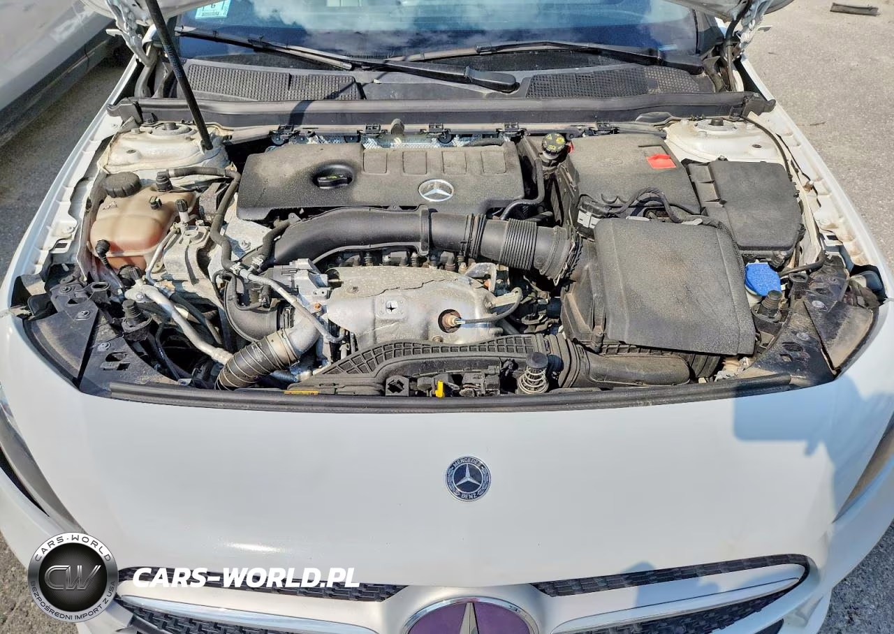 2020 Mercedes-Benz A 220 4Matic VIN:WDD3G4FB8LW038298 - 11