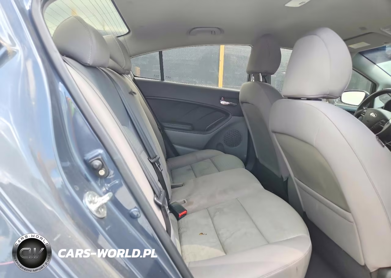 2016 Kia Forte Lx VIN:KNAFX4A63G5516623 - 10