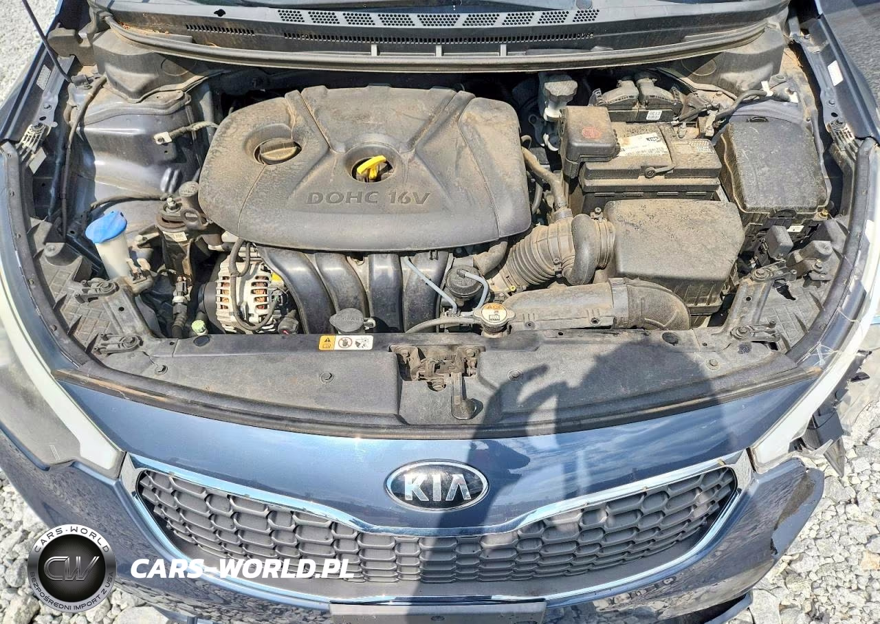 2016 Kia Forte Lx VIN:KNAFX4A63G5516623 - 11