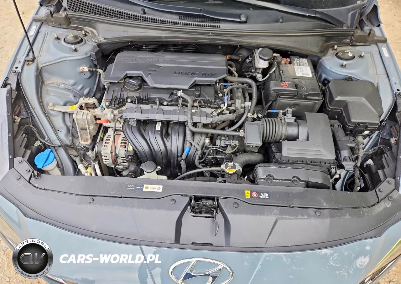 2021 Hyundai Elantra Sel VIN:KMHLN4AG5MU115785 - 11