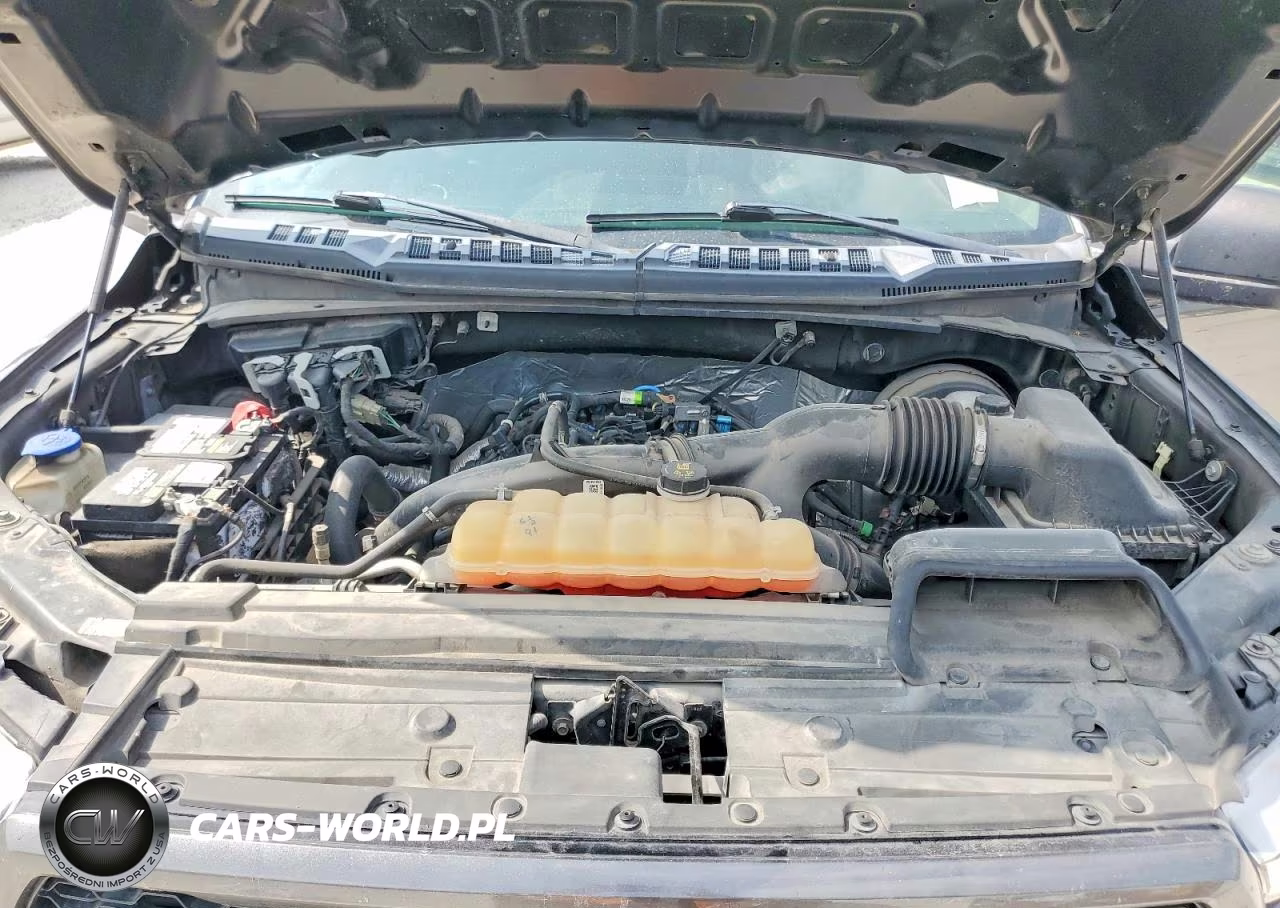 2019 Ford F150 Supercrew VIN:1FTEW1CP5KKC30384 - 11