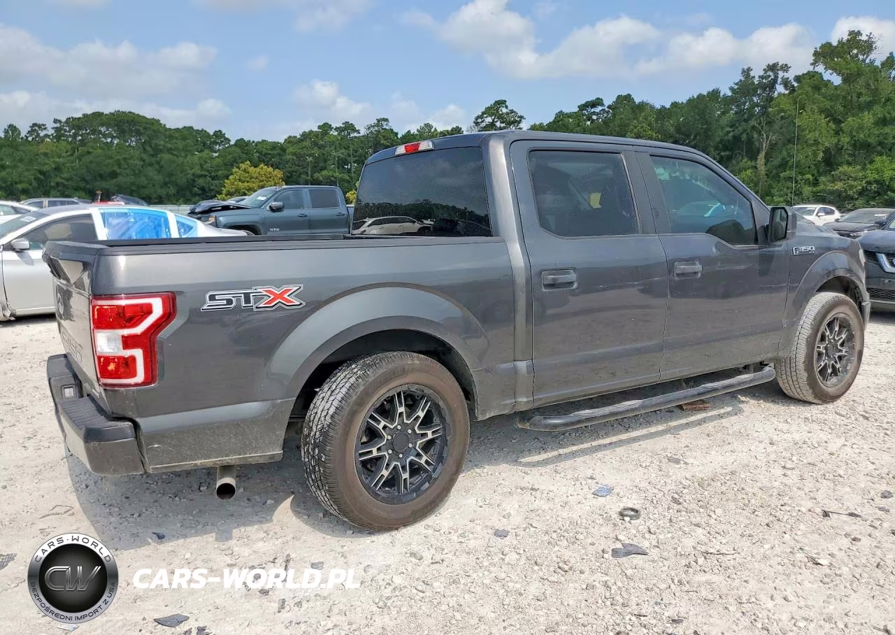 2019 Ford F150 Supercrew VIN:1FTEW1CP5KKC30384 - 3