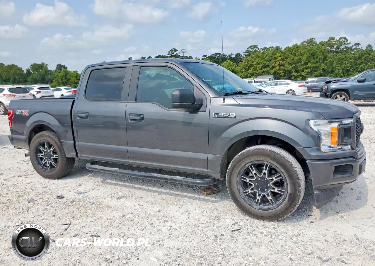 2019 Ford F150 Supercrew VIN:1FTEW1CP5KKC30384 - 4