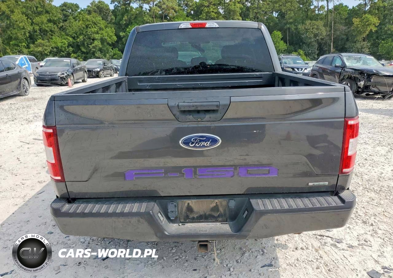 2019 Ford F150 Supercrew VIN:1FTEW1CP5KKC30384 - 6