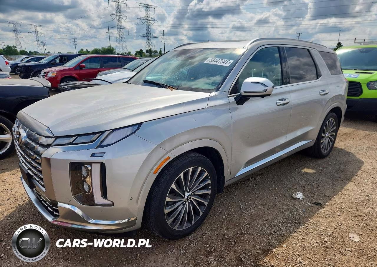 2023 Hyundai Palisade Calligraphy VIN:KM8R7DGE9PU540862 - 1