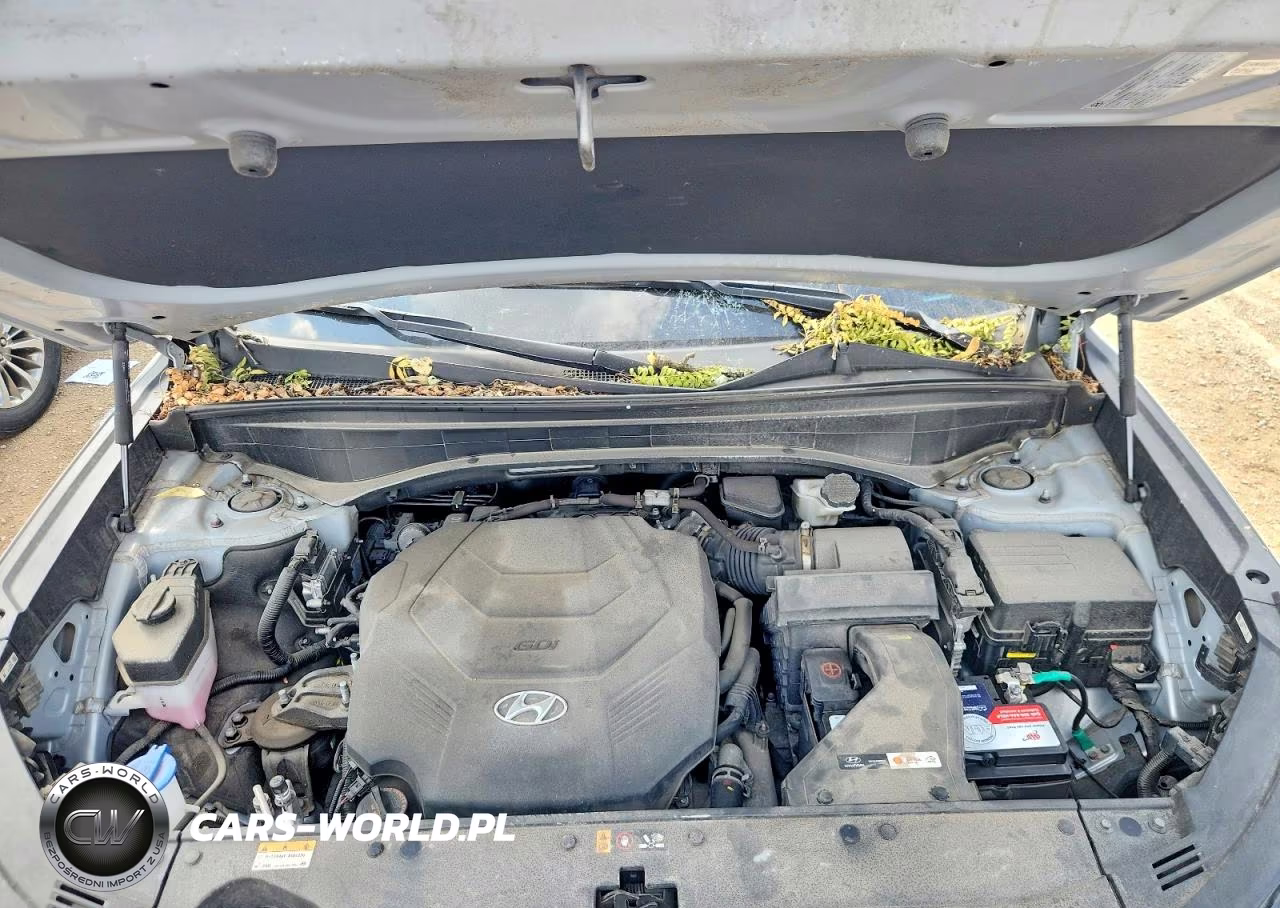 2023 Hyundai Palisade Calligraphy VIN:KM8R7DGE9PU540862 - 12