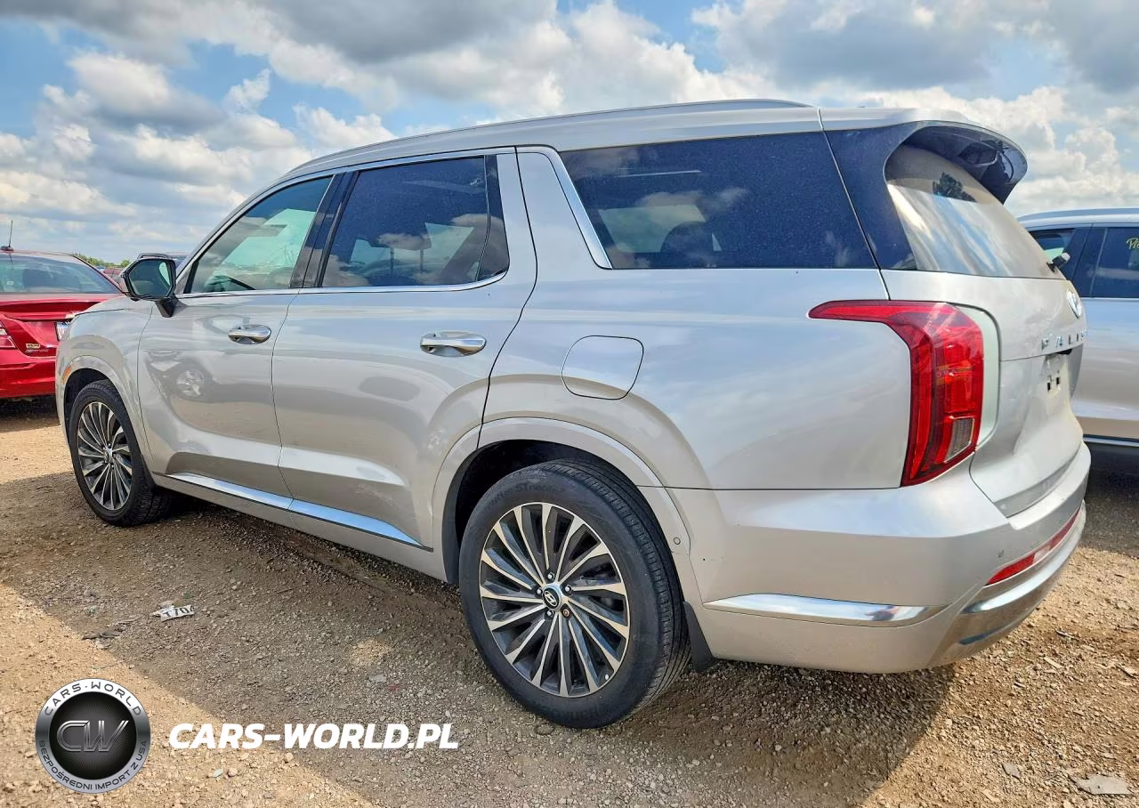 2023 Hyundai Palisade Calligraphy VIN:KM8R7DGE9PU540862 - 2