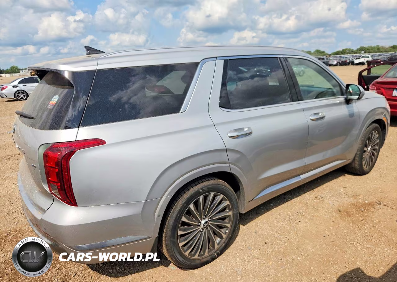 2023 Hyundai Palisade Calligraphy VIN:KM8R7DGE9PU540862 - 3