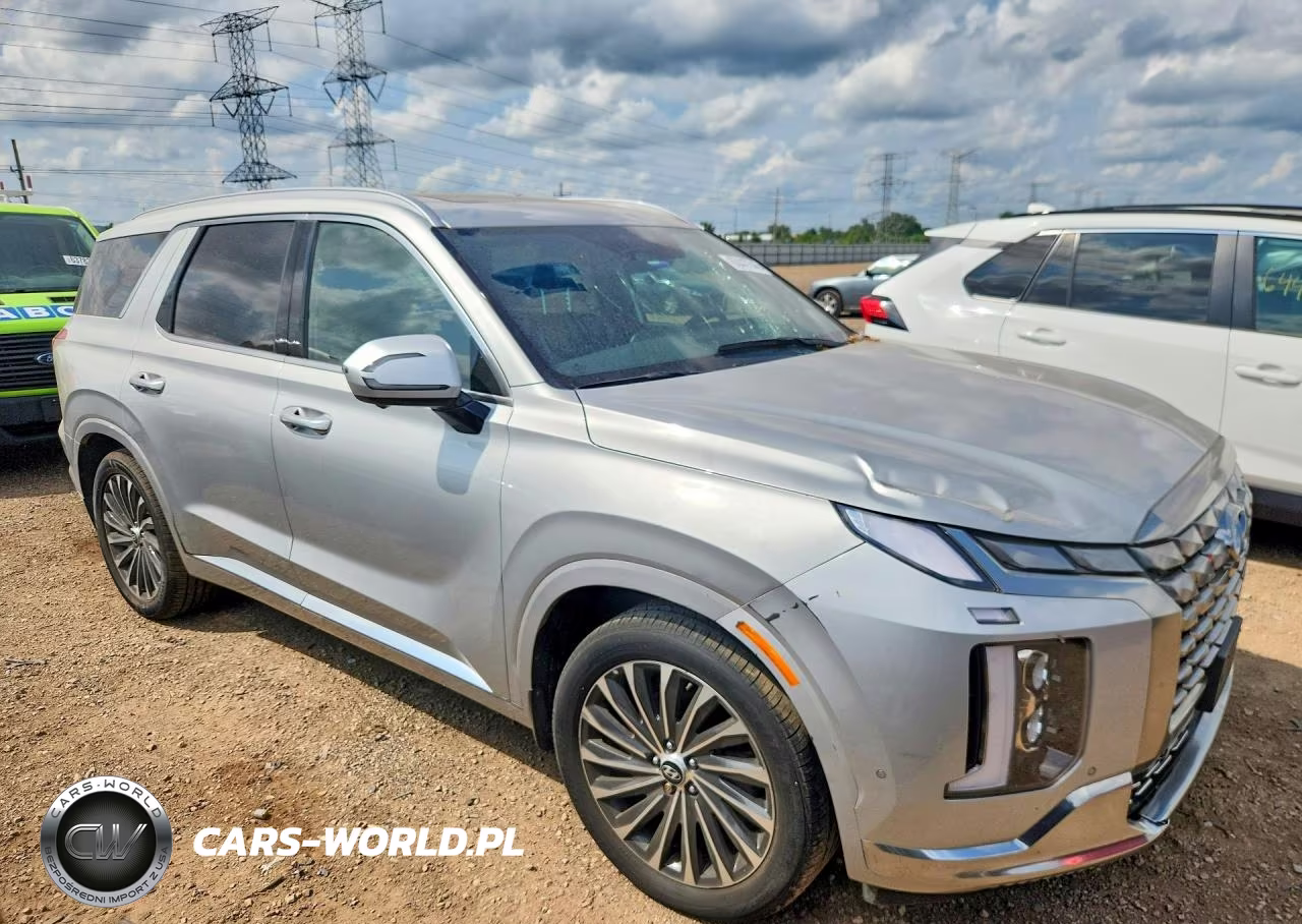 2023 Hyundai Palisade Calligraphy VIN:KM8R7DGE9PU540862 - 4