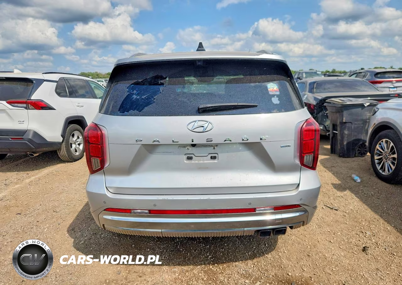 2023 Hyundai Palisade Calligraphy VIN:KM8R7DGE9PU540862 - 6