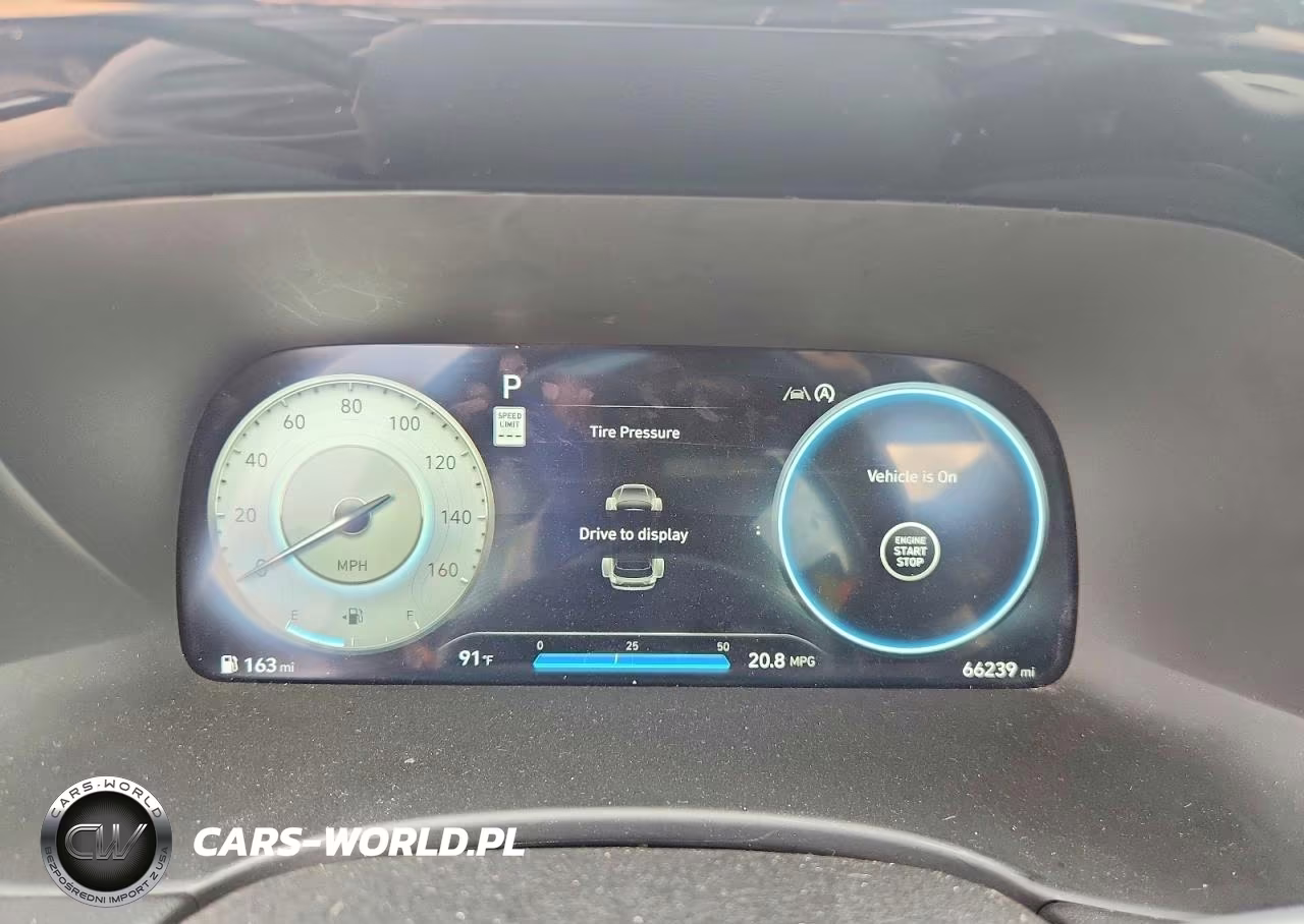 2023 Hyundai Palisade Calligraphy VIN:KM8R7DGE9PU540862 - 9