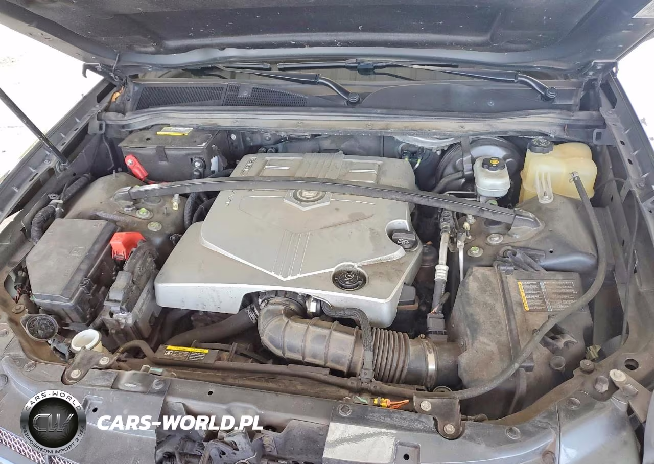 2007 Cadillac Srx VIN:1GYEE637470179926 - 11