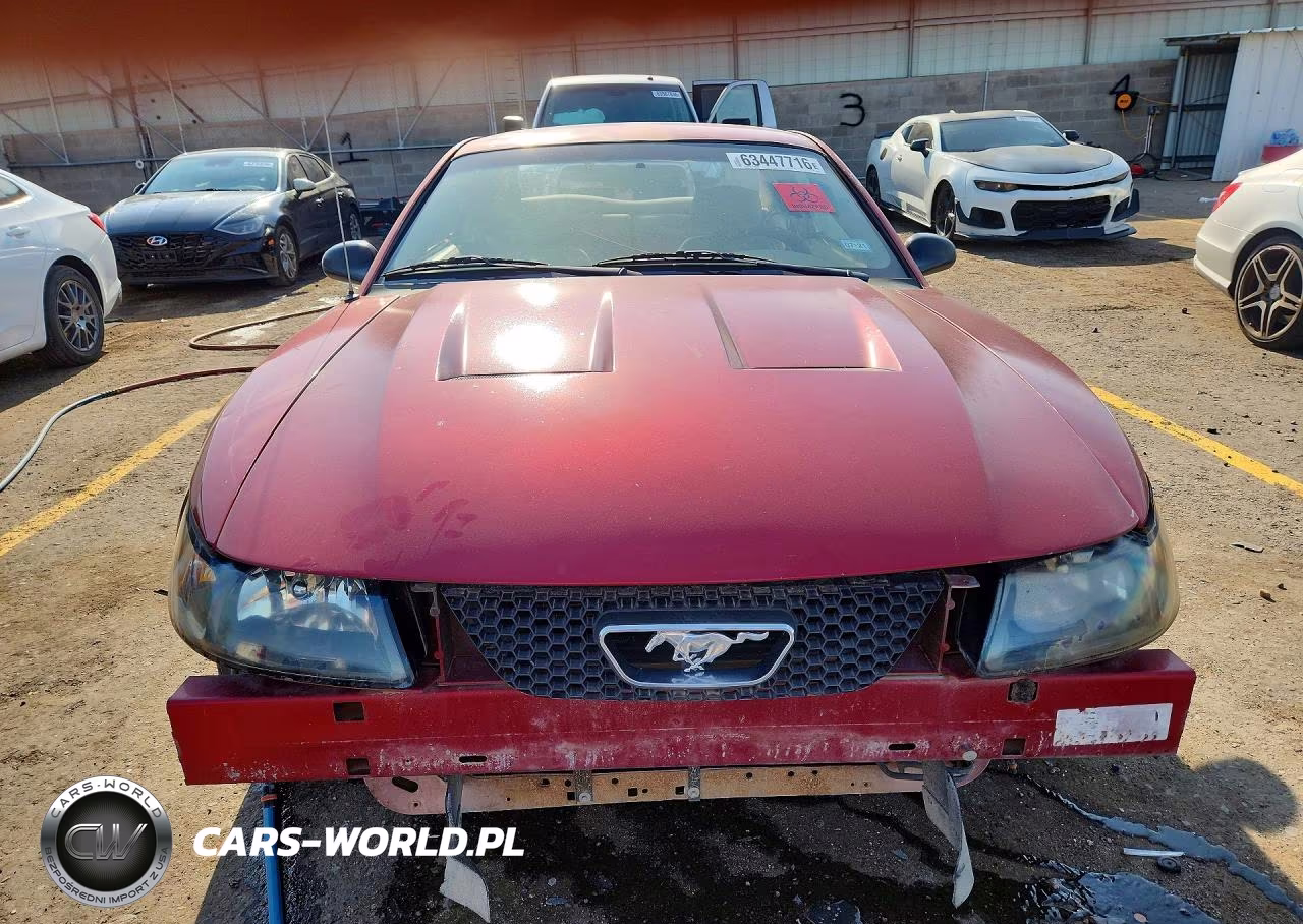 2004 Ford Mustang Gt VIN:1FAFP42XX4F104382 - 5