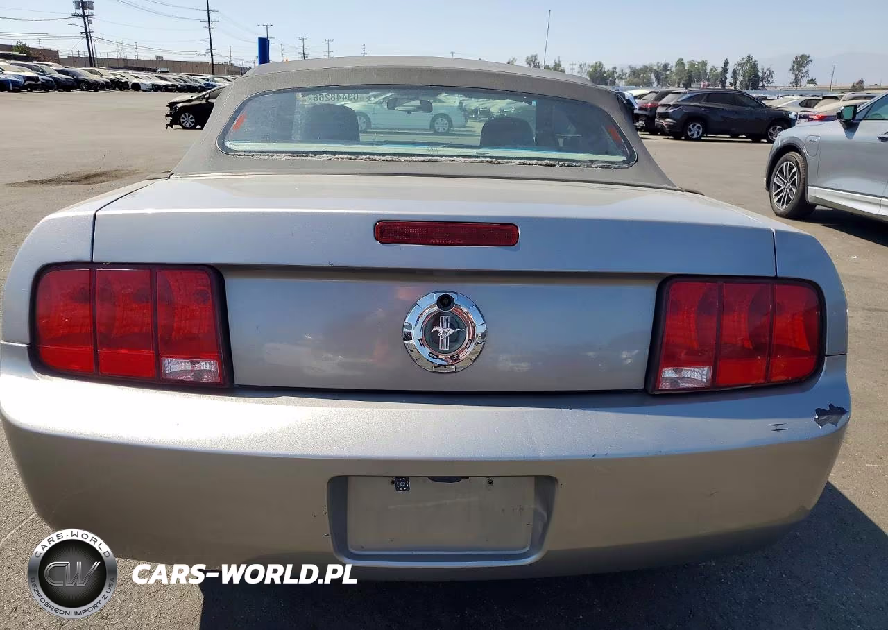 2009 Ford Mustang VIN:1ZVHT84N695112524 - 6